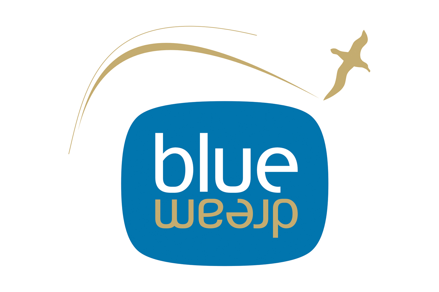 Blue Dream Logo Design